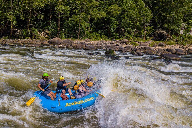 New River Gorge Whitewater Rafting, WV - Lower New Full Day - The Value of the Experience