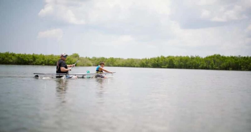 New Smyrna Beach: Guided Clear Kayak Tour with Wildlife - Key Points