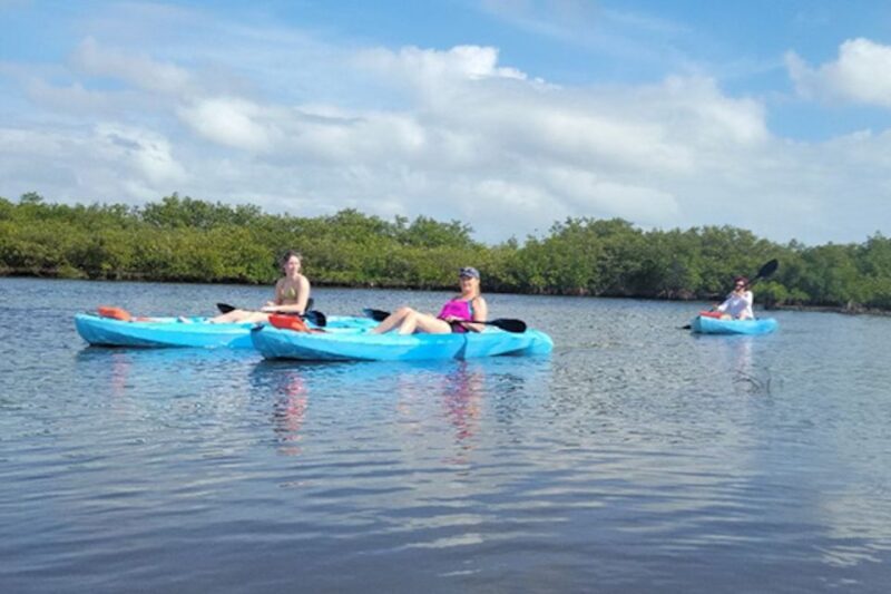 New Smyrna: Half-Day Guided SUP or Kayak Waterways Tour - Introduction