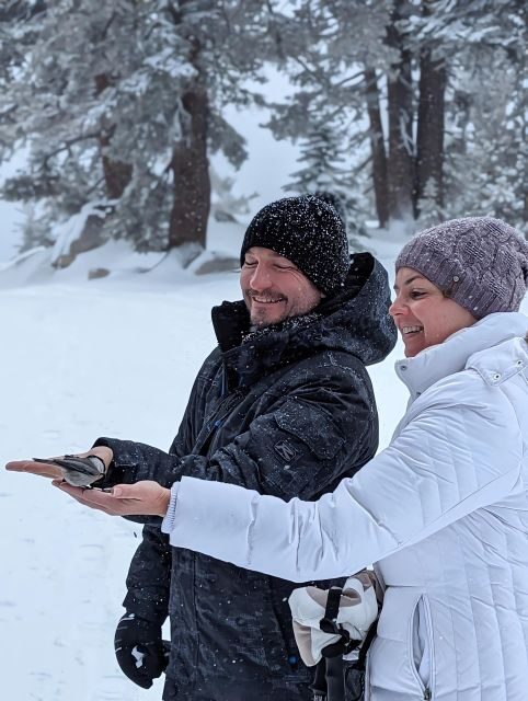 New Washoe City: Chickadee Ridge Beginner Snowshoeing Hike - Exploring Chickadee Ridge: A Detailed Journey into Tahoe’s Winter Wonderland
