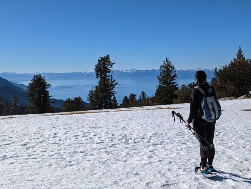 New Washoe City: Chickadee Ridge Beginner Snowshoeing Hike - Final Thoughts: Is It Worth It?