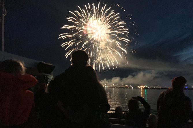 New Year's Eve Fireworks Cruise in Reykjavik - Final Thoughts