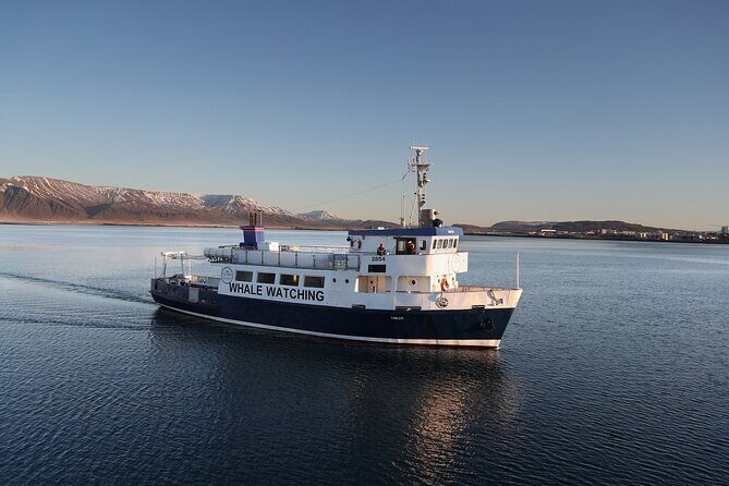 New Years Fireworks by Boat from Reykjavik - The Experience for Different Travelers