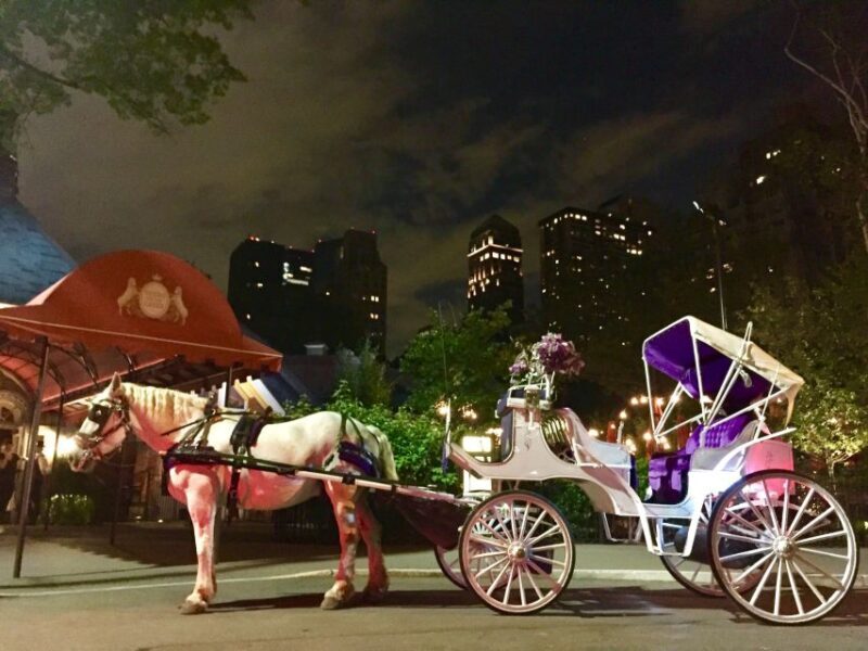 New York: Carriage Ride in Central Park - Who Would Love This Experience?