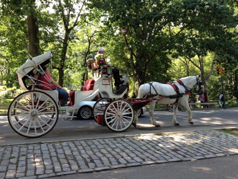 New York: Carriage Ride in Central Park - Frequently Asked Questions