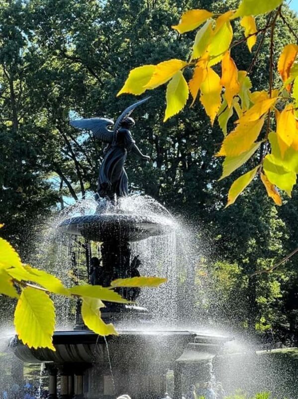 New York: Central Park Selfie Tour with Photographer - A Detailed Look at the Tour Experience