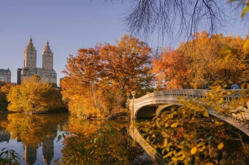New York: Central Park Small Group Walking Tour - The Experience: What You Can Expect