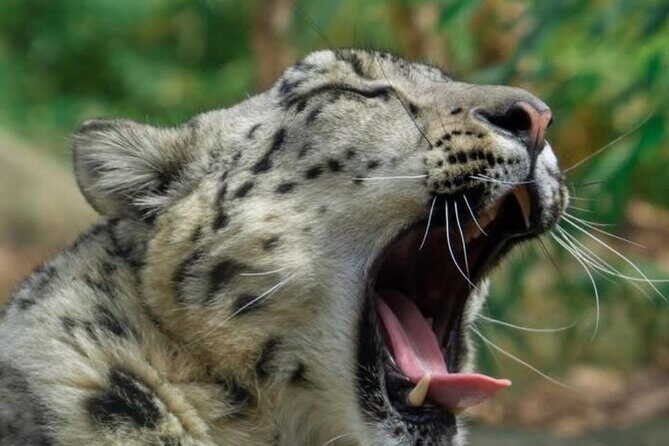New York Central Park Zoo Ticket - Why Choose the Central Park Zoo?