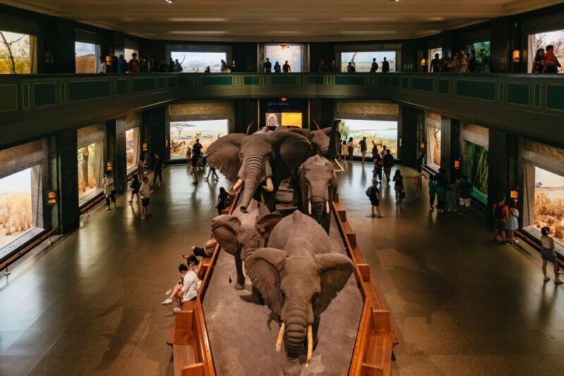 New York City: American Museum of Natural History Ticket - Key Points