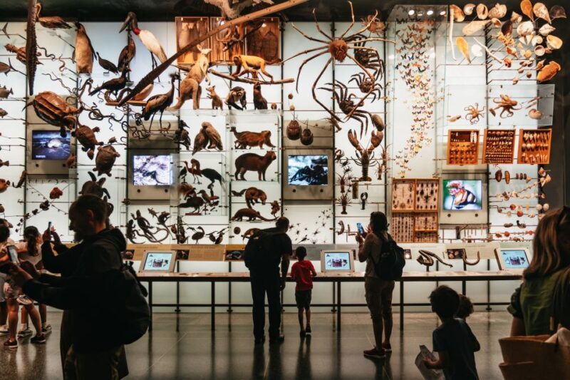 New York City: American Museum of Natural History Ticket - The Sum Up: Who Should Visit?