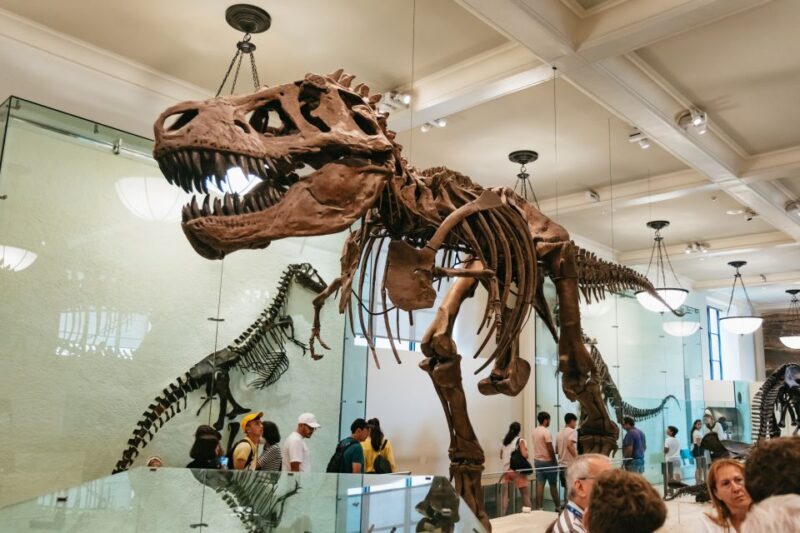 New York City: American Museum of Natural History Ticket - The Sum Up