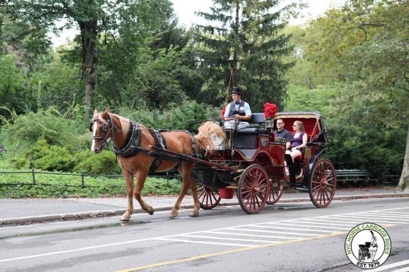 New York City: Central Park Horse Carriage 25-min Ride - The Value Proposition