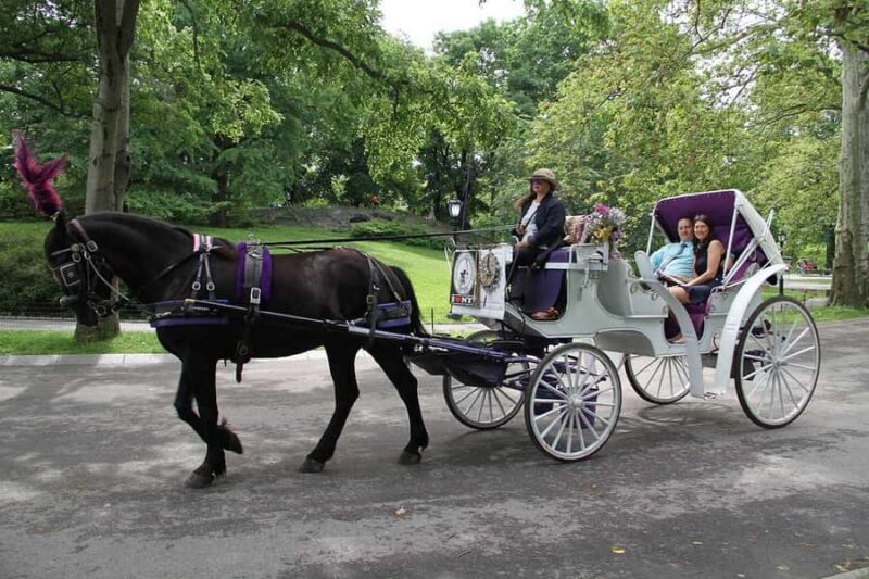 New York City: Central Park Horse Carriage 25-min Ride - What Do the Reviews Say?