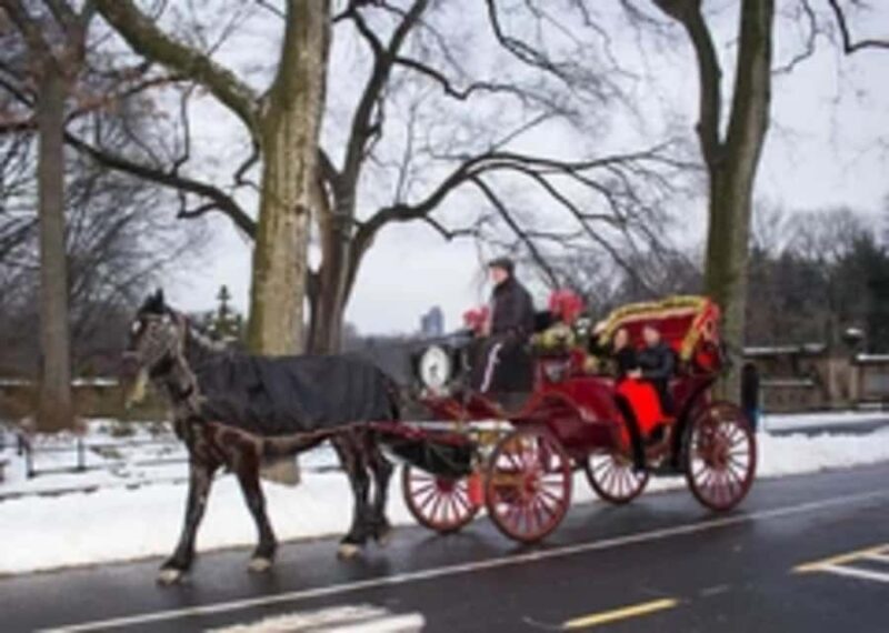 New York City: Central Park Horse Carriage 45-min Ride - Key Points