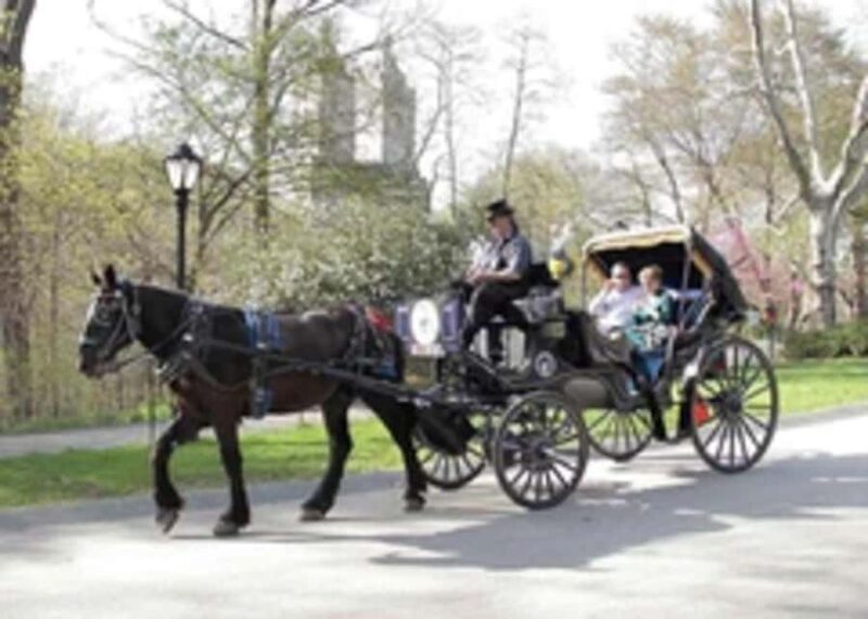 New York City: Central Park Horse Carriage 45-min Ride - Why Choose a Horse Carriage Ride in Central Park?
