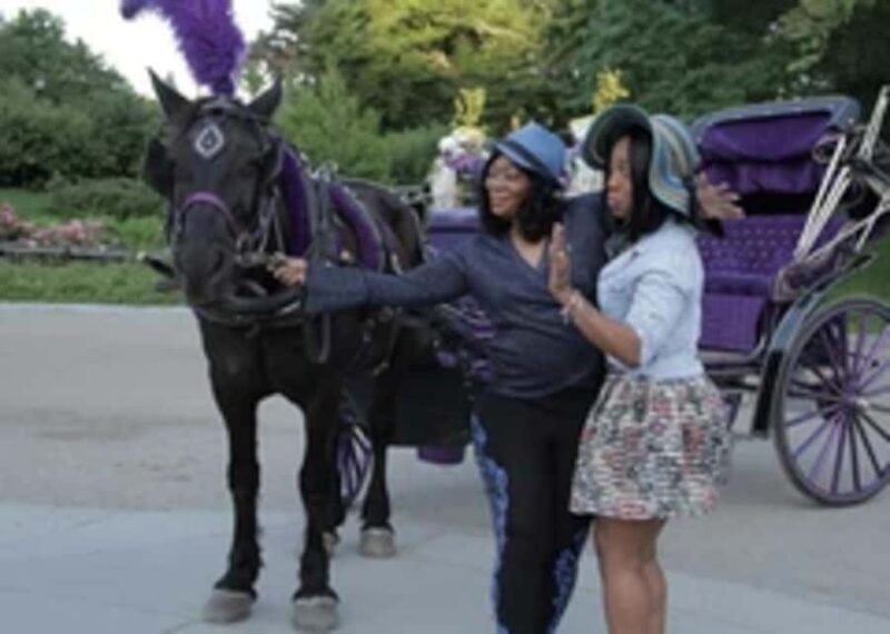 New York City: Central Park Horse Carriage 45-min Ride - Authentic Experiences and Genuine Value