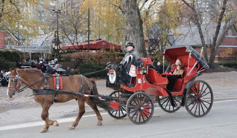 New York City: Central Park Horse Carriage 55-min Ride - What to Expect from the Central Park Horse Carriage Ride