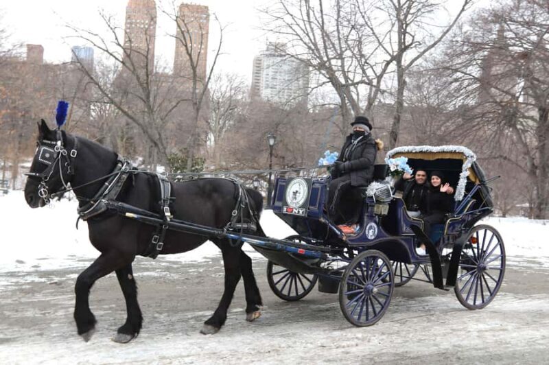 New York City: Central Park Horse Carriage 55-min Ride - FAQ