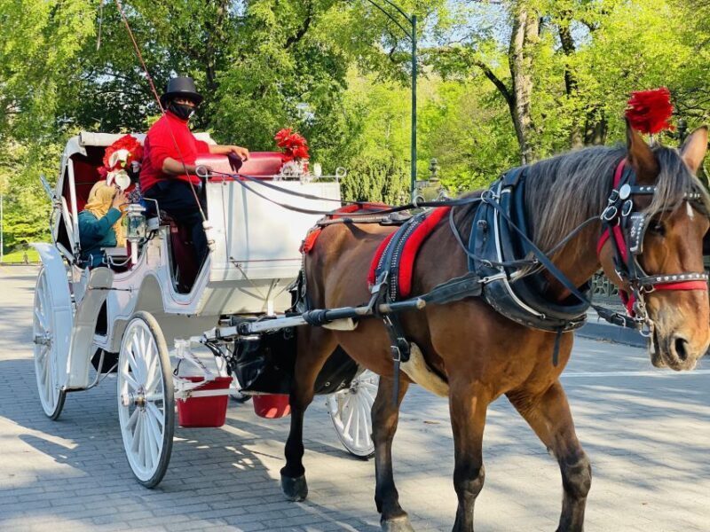 New York City: Central Park Private Horse and Carriage Tour - Starting Point & First Impressions
