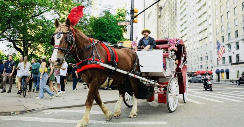 New York City: Central Park Private Horse and Carriage Tour - Highlights of the Tour Itinerary
