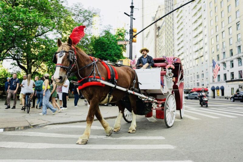 New York City: Central Park Private Horse and Carriage Tour - Practical Details & Comfort
