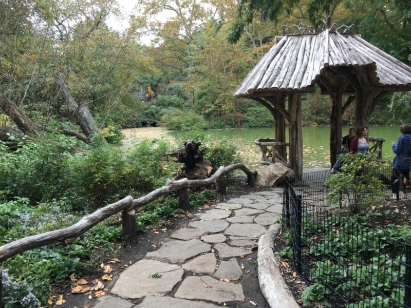 New York City: Central Park Tour by Pedicab - The Ride – Comfort and Practicalities