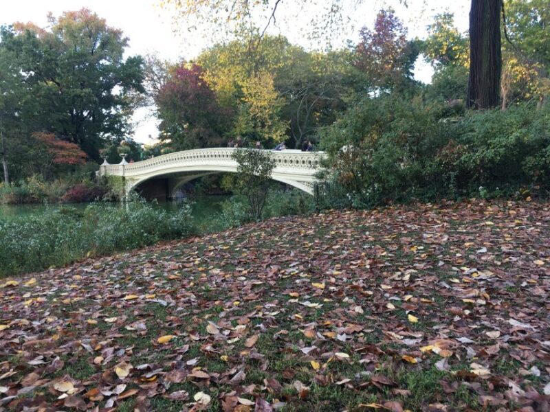 New York City: Central Park Tour by Pedicab - The Experience from Reviews