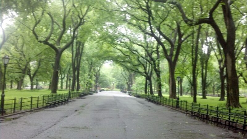 New York City: Central Park Walking Tour - What to Expect from the Central Park Walking Tour