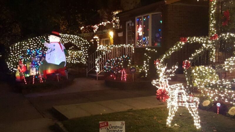 New York City: Dyker Heights Christmas Lights Tour - Starting Point and Overall Experience