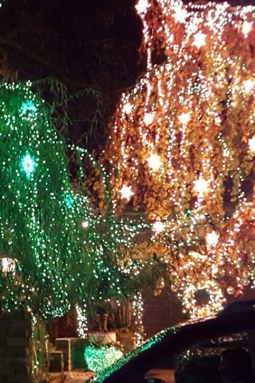 New York City: Dyker Heights Christmas Lights Tour - Practical Details and Value