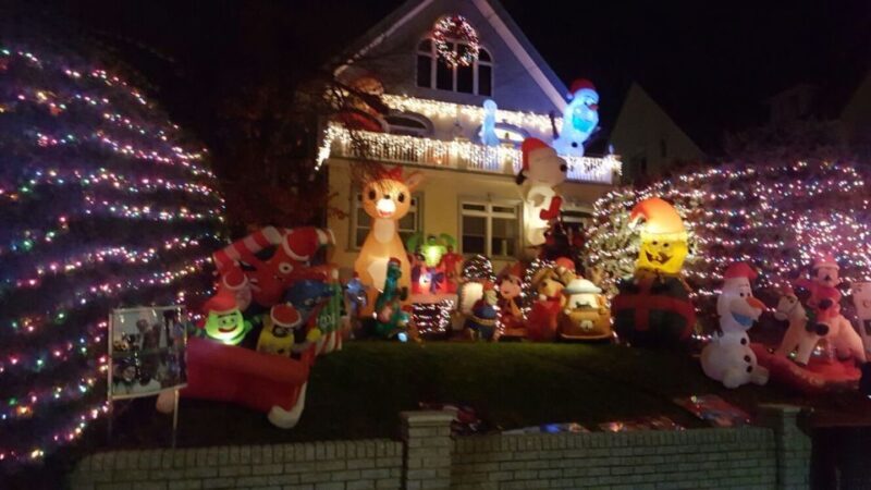 New York City: Dyker Heights Christmas Lights Tour - Who Is This Tour Best For?