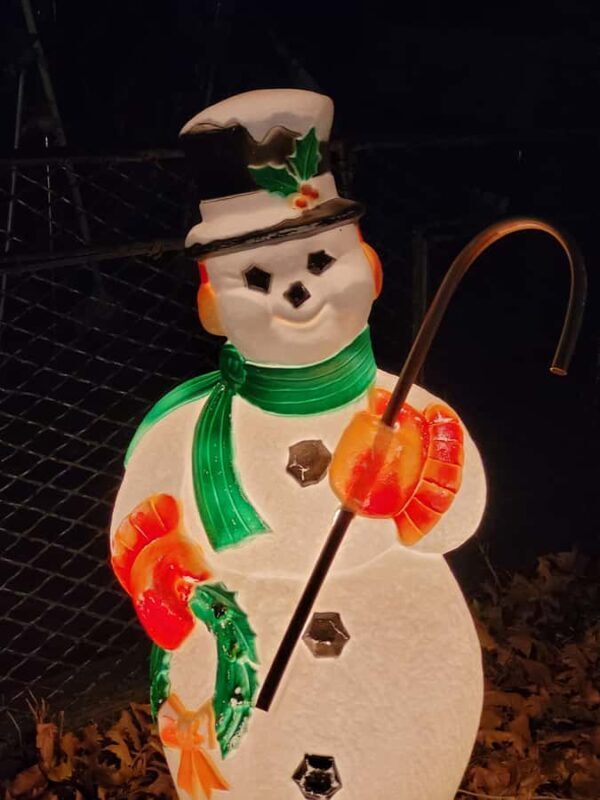 New York City: Dyker Heights Christmas Walking Tour - A Detailed Look at the Tour Itself