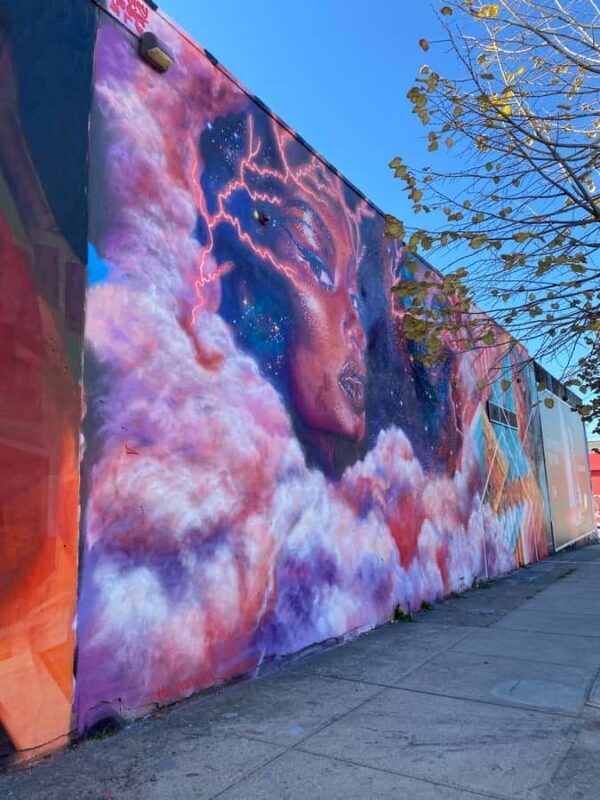 New York City: French Bushwick and Williamsburg Tour - An In-Depth Look at the Tour Experience