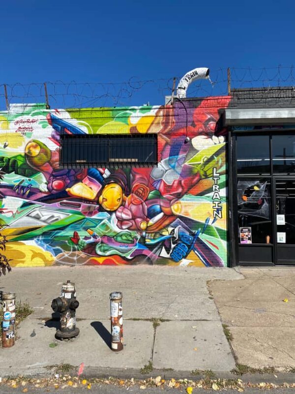 New York City: French Bushwick and Williamsburg Tour - FAQs