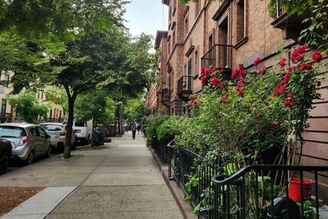 New York City Harlem Walking Tour with a Guide - The Overall Experience