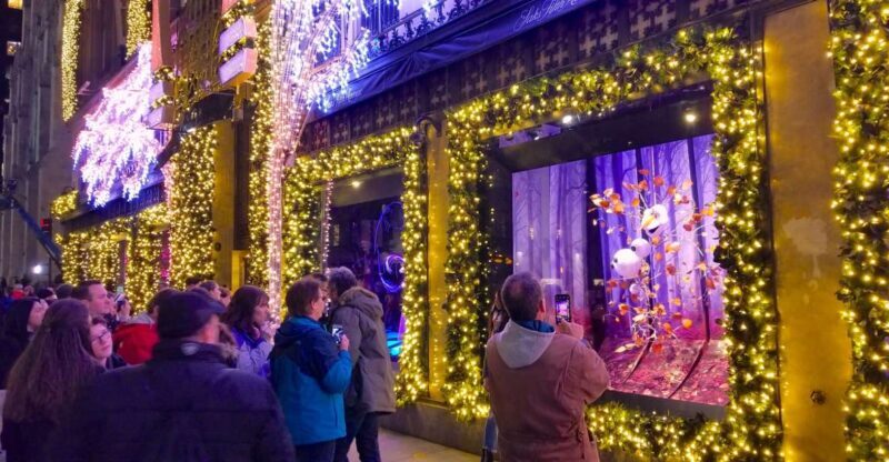 New York City: Holiday Lights Extravaganza Walking Tour - Who Will Love This Experience?
