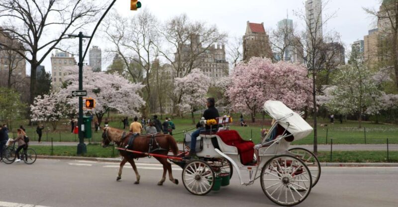 New York City: Horse Carriage Ride through Central Park - Key Points