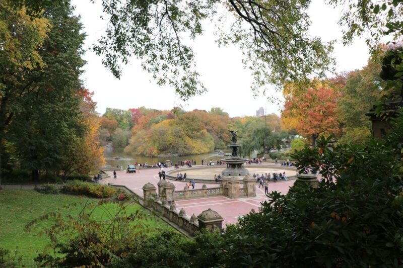 New York City: Horse Carriage Ride through Central Park - An In-Depth Look at the Central Park Horse Carriage Ride