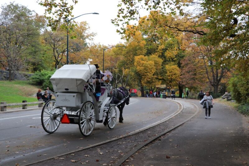 New York City: Horse Carriage Ride through Central Park - The Sum Up