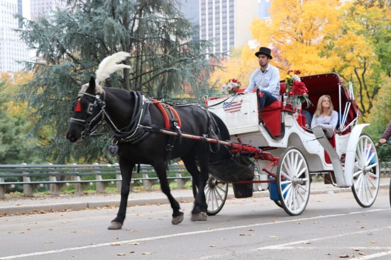 New York City: Horse Carriage Ride through Central Park - FAQs