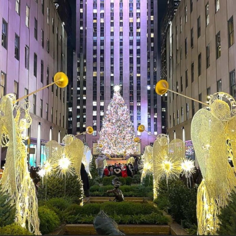 New York City: Merry Manhattan Christmas Lights Holiday Tour - Who Will Love This Tour?