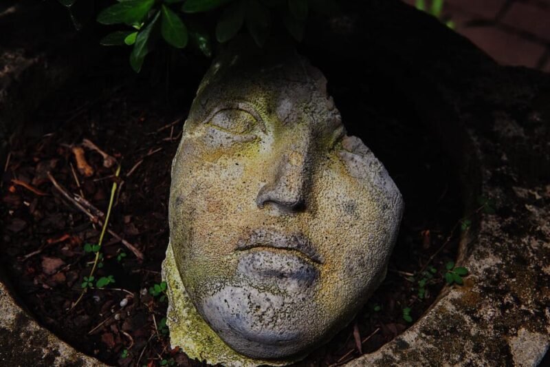 New York City: The Garden Photo Tour - An In-Depth Look at the Garden Photo Tour