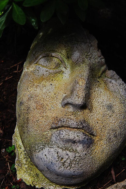 New York City: The Garden Photo Tour - The Sum Up