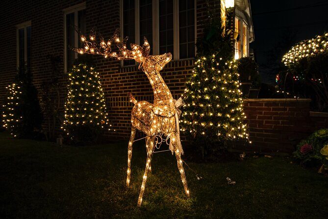 New York Holiday Lights Tour with Dyker Heights - Practical Details: What You Need to Know