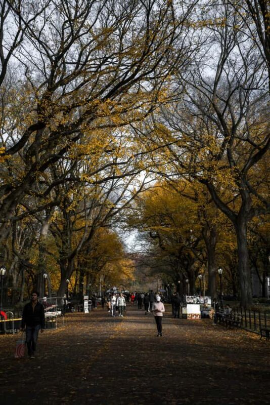 New York: Manhattan Highlights - Central Park & Rich areas - A Detailed Look at the Manhattan Highlights Tour