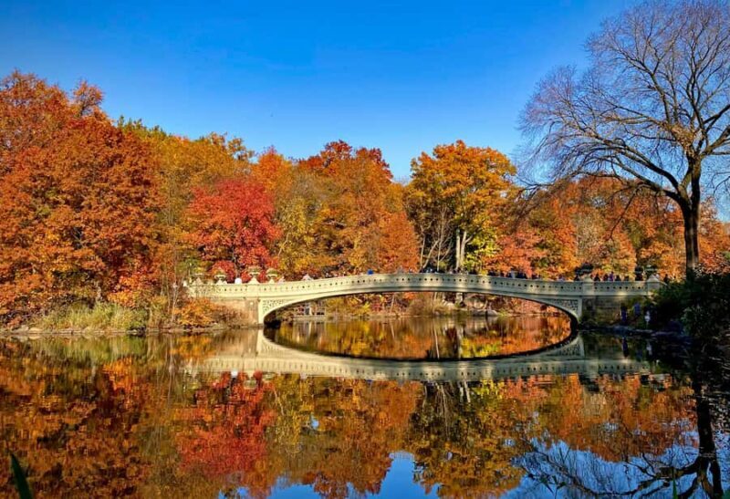 New York: Manhattan Highlights - Central Park & Rich areas - Why This Tour Offers Good Value