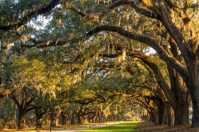 New York to Charleston 5-Day Tour - Key Points