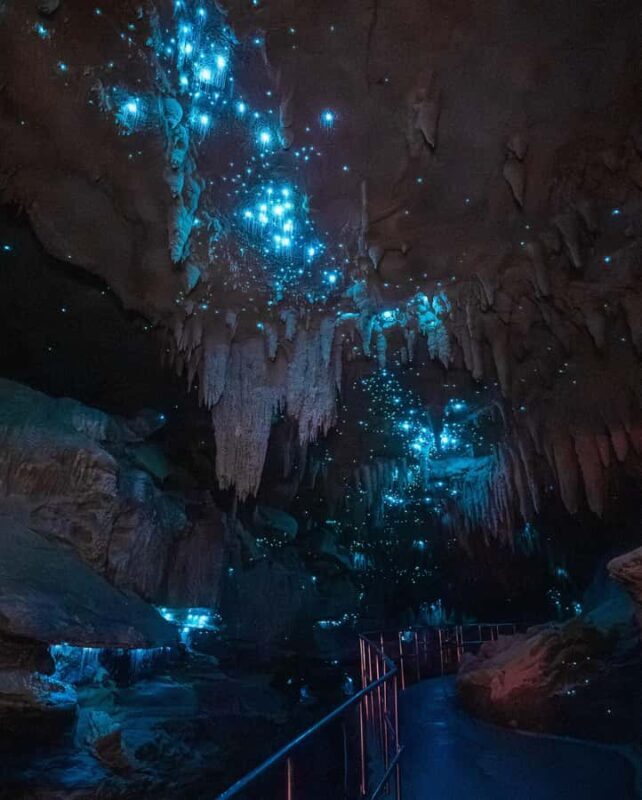 New Zealand: Milky Way Glowworm Cave Tour - An In-Depth Look at the Milky Way Glowworm Cave Experience