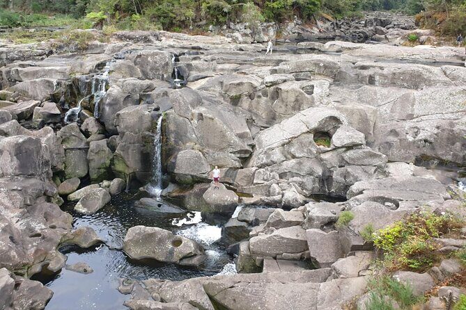 New Zealand Tauranga Tour with Transportation and Snacks - Final Words