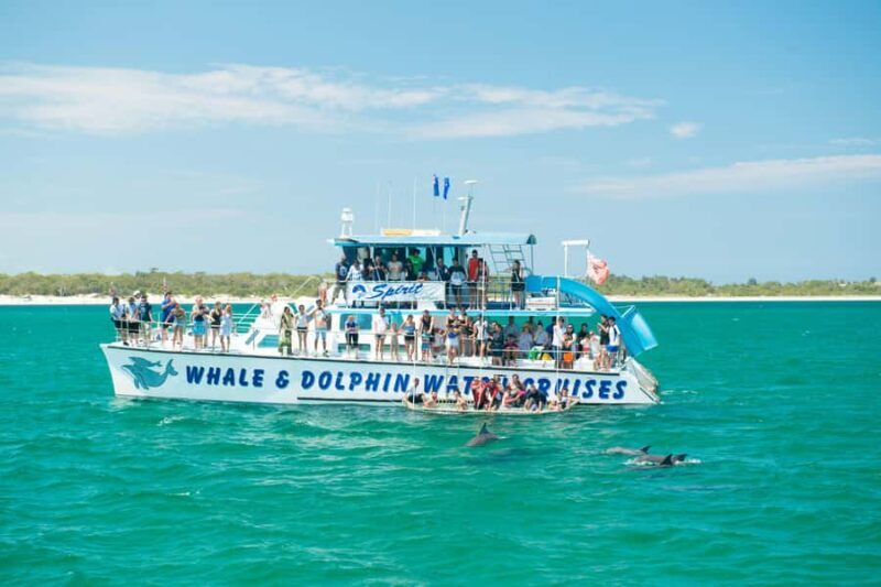 Newcastle: Animal Lovers Tour - Kangaroos, Dolphins & more! - Newcastle: Animal Lovers Tour - Kangaroos, Dolphins & More!